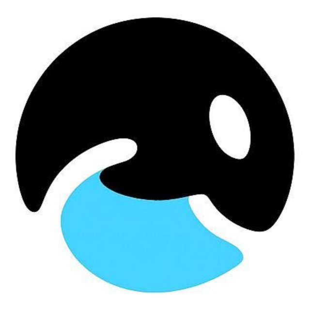 Orca Solutions